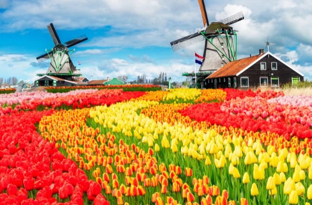 Netherlands